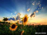 上海典恩灼网络科技有限公司