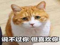 上海典恩灼网络科技有限公司