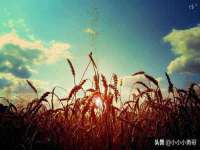 上海典恩灼网络科技有限公司