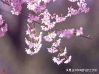 上海典恩灼网络科技有限公司