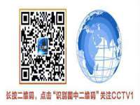 上海典恩灼网络科技有限公司