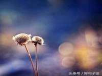 上海典恩灼网络科技有限公司