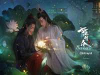上海典恩灼网络科技有限公司