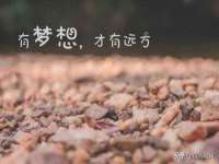 上海典恩灼网络科技有限公司