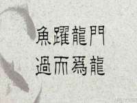 上海典恩灼网络科技有限公司