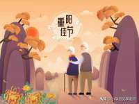 上海典恩灼网络科技有限公司