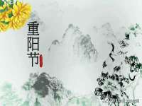 上海典恩灼网络科技有限公司