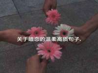 上海典恩灼网络科技有限公司