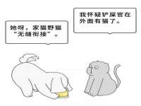 上海典恩灼网络科技有限公司