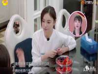 上海典恩灼网络科技有限公司