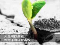 上海典恩灼网络科技有限公司