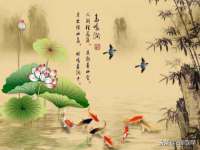 上海典恩灼网络科技有限公司