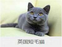 上海典恩灼网络科技有限公司