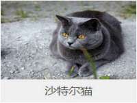 上海典恩灼网络科技有限公司
