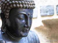 上海典恩灼网络科技有限公司