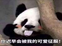 上海典恩灼网络科技有限公司