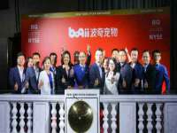 上海典恩灼网络科技有限公司