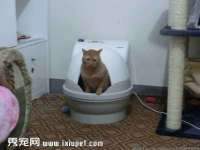 上海典恩灼网络科技有限公司