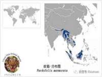 上海典恩灼网络科技有限公司