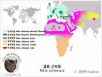 上海典恩灼网络科技有限公司