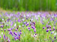上海典恩灼网络科技有限公司