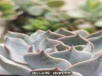 上海典恩灼网络科技有限公司