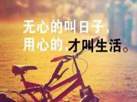 上海典恩灼网络科技有限公司