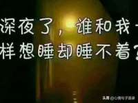 上海典恩灼网络科技有限公司