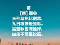 上海典恩灼网络科技有限公司