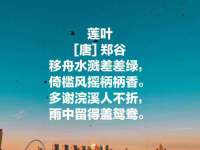 上海典恩灼网络科技有限公司
