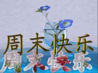 上海典恩灼网络科技有限公司