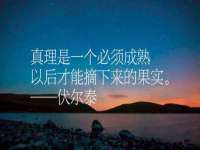 上海典恩灼网络科技有限公司