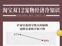 上海典恩灼网络科技有限公司