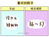 上海典恩灼网络科技有限公司