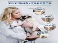 上海典恩灼网络科技有限公司