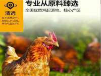 上海典恩灼网络科技有限公司