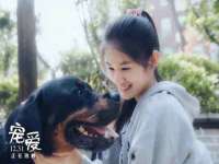 上海典恩灼网络科技有限公司
