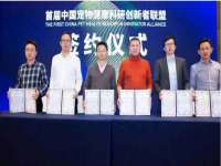上海典恩灼网络科技有限公司