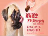 上海典恩灼网络科技有限公司
