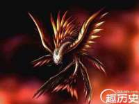 上海典恩灼网络科技有限公司