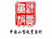 上海典恩灼网络科技有限公司