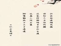 上海典恩灼网络科技有限公司
