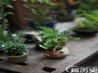 上海典恩灼网络科技有限公司
