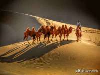 上海典恩灼网络科技有限公司