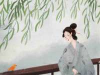 上海典恩灼网络科技有限公司