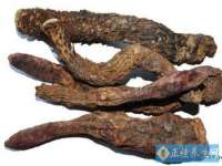 上海典恩灼网络科技有限公司