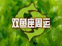 上海典恩灼网络科技有限公司