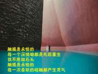 上海典恩灼网络科技有限公司