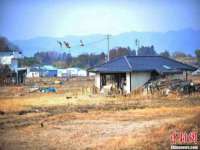 上海典恩灼网络科技有限公司