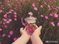 上海典恩灼网络科技有限公司